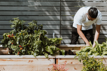 Raised Bed Gardens